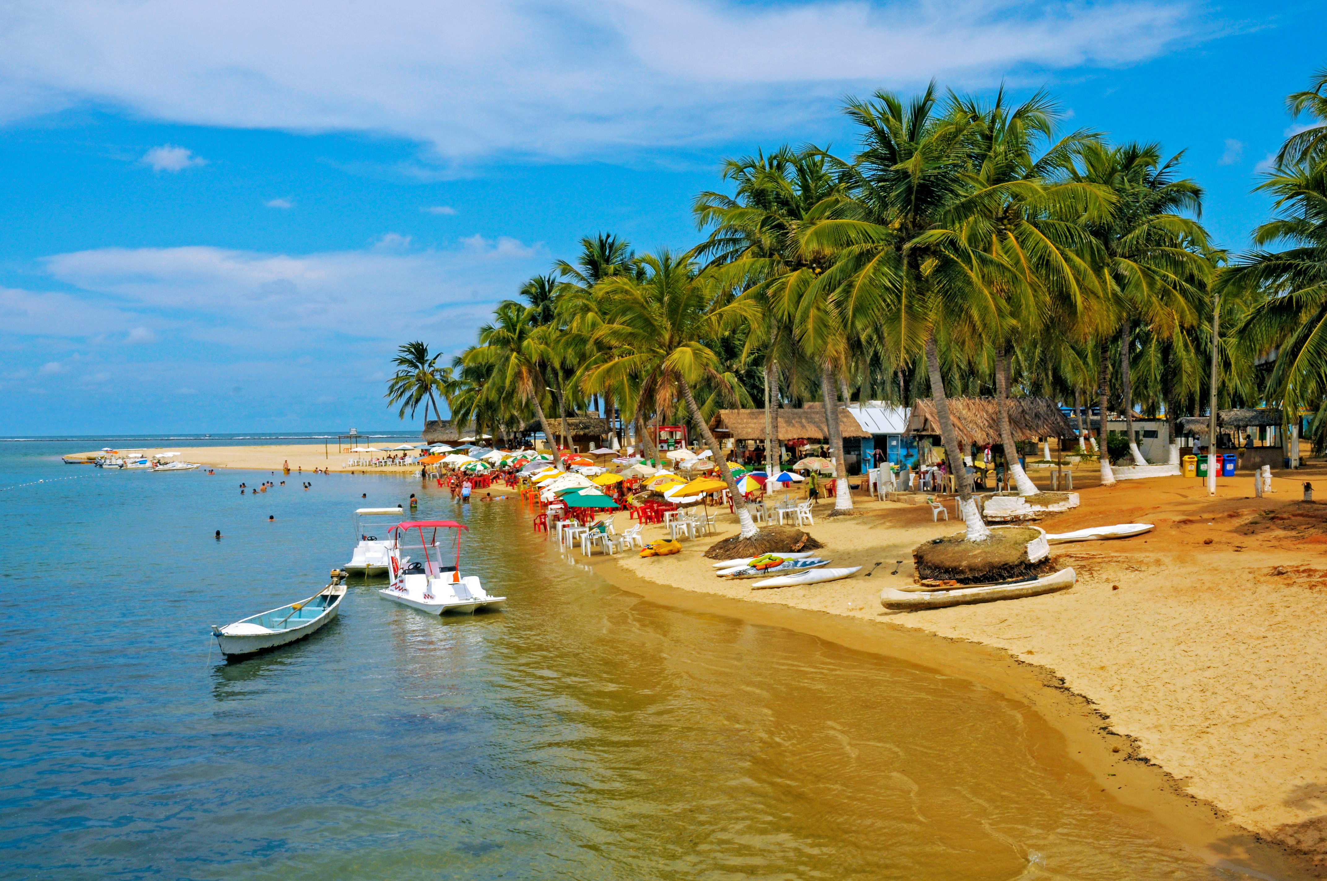 Banner 4 - ONG Evaristo Natureza